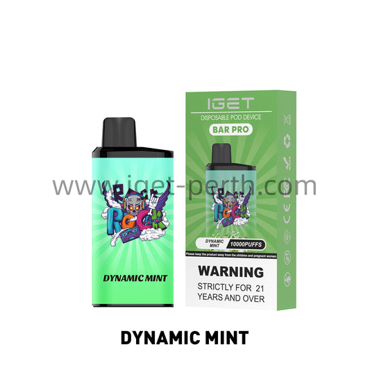 Iget Bar Pro 10000 Puffs-Dynamic Mint